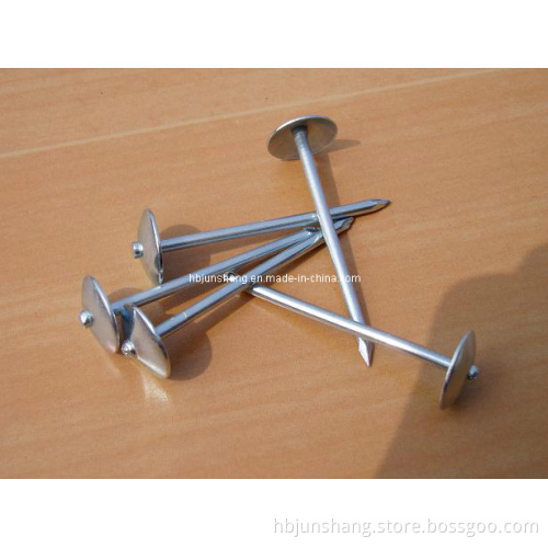 Galvanized Roofing Nails